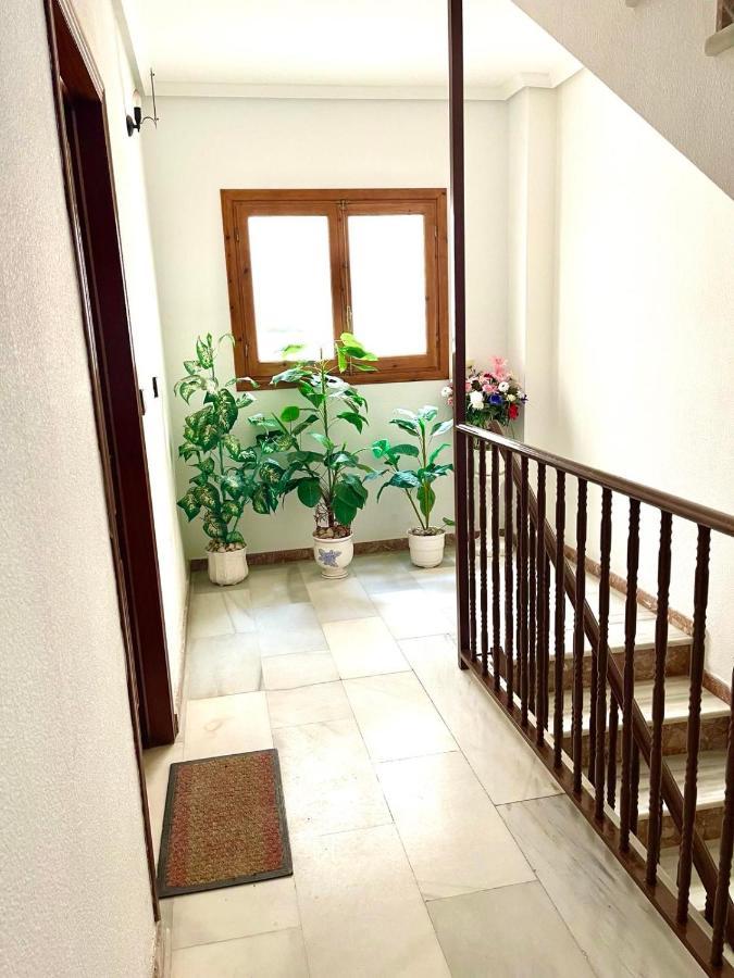 Captain Garcia Apartment Torrevieja Dış mekan fotoğraf